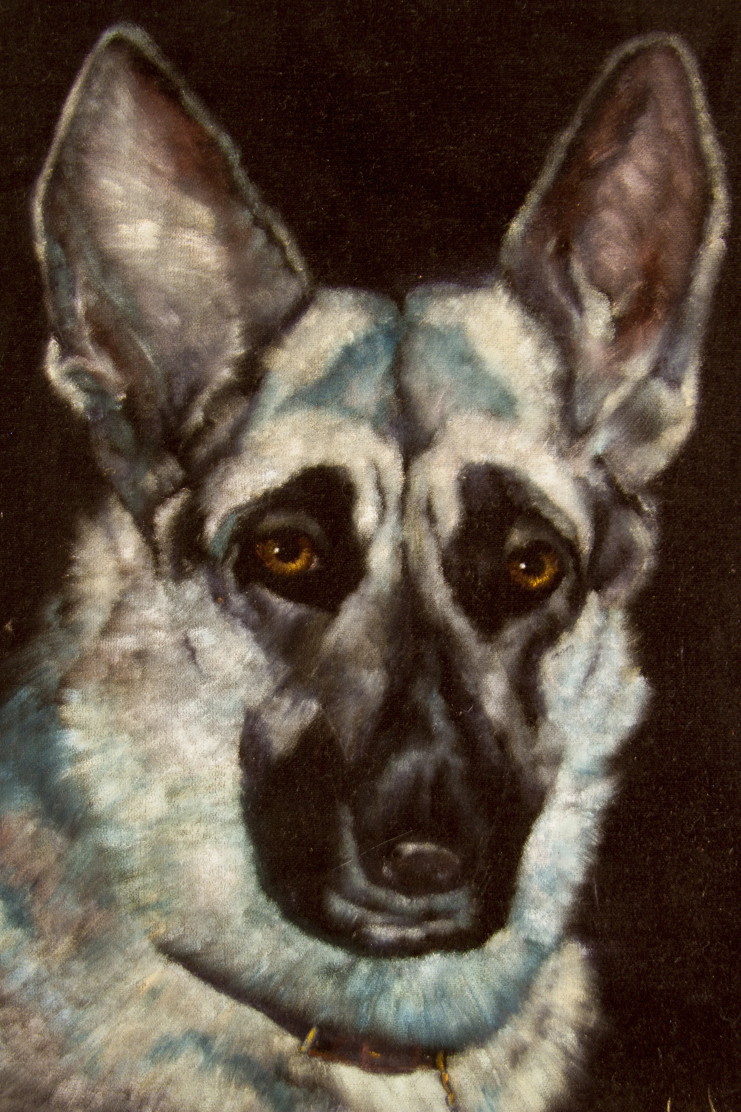 0004_Germanshepard_small.jpg