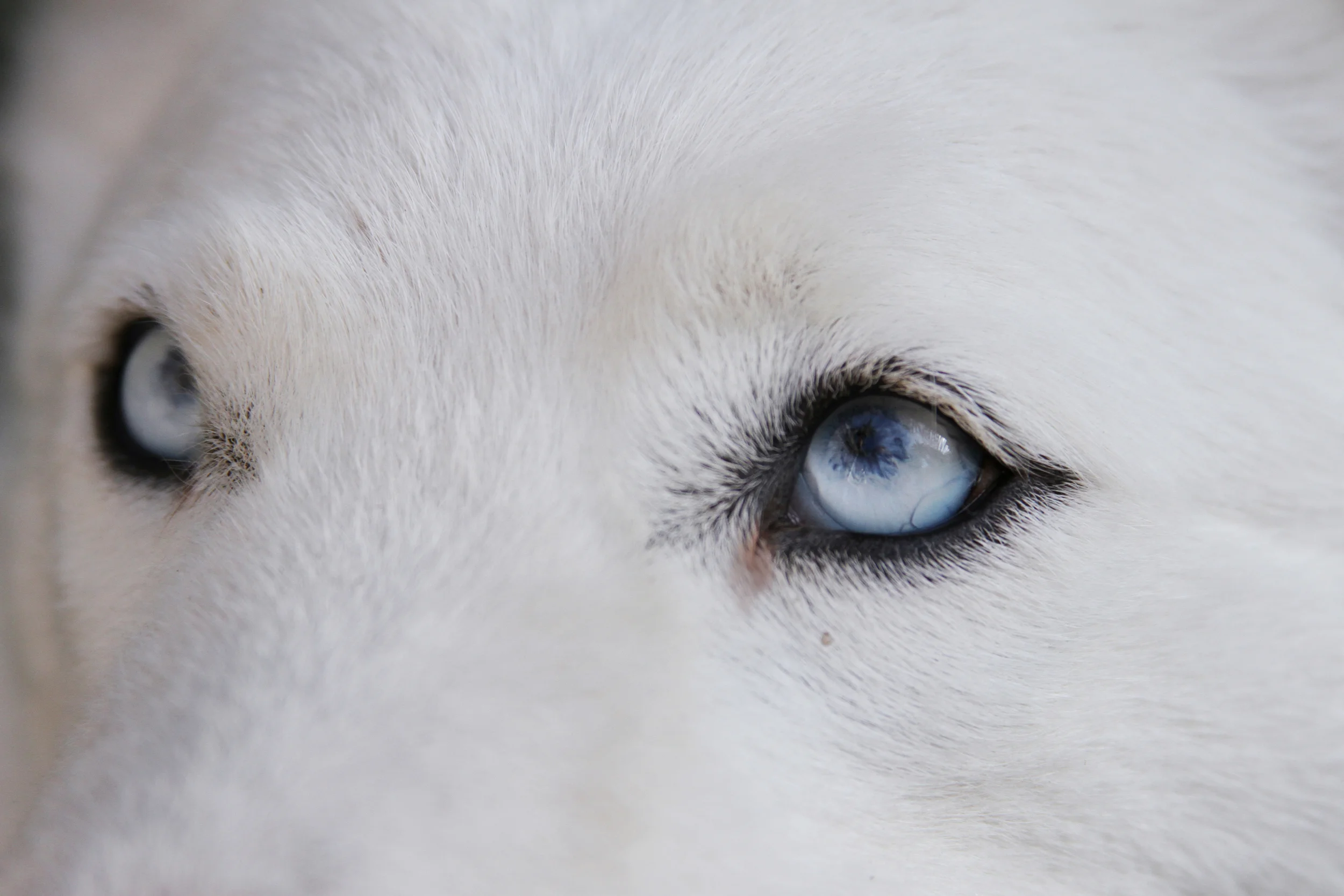 0013_Skyretouched.jpg