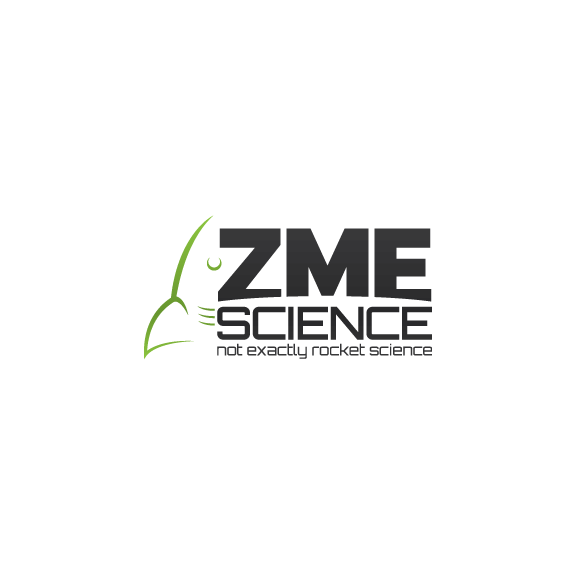 ZME_w_small.png