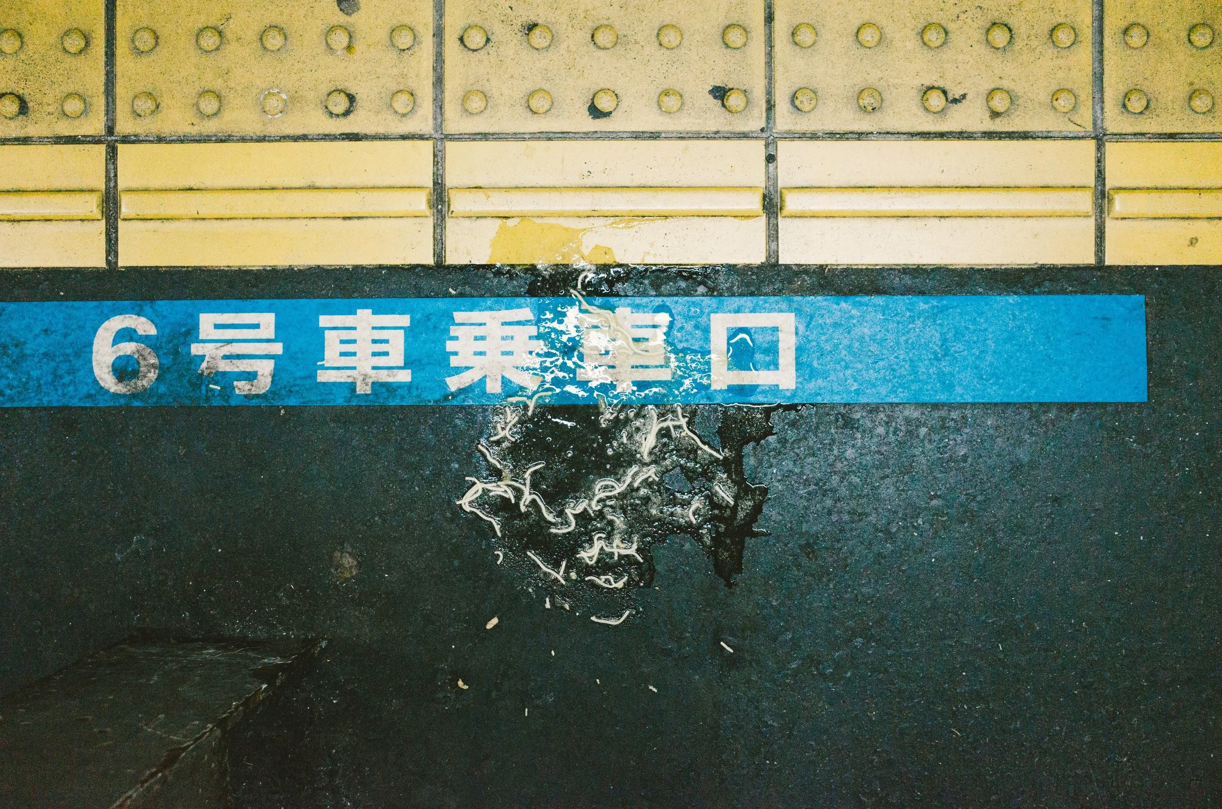 R0144728 (Custom).jpg