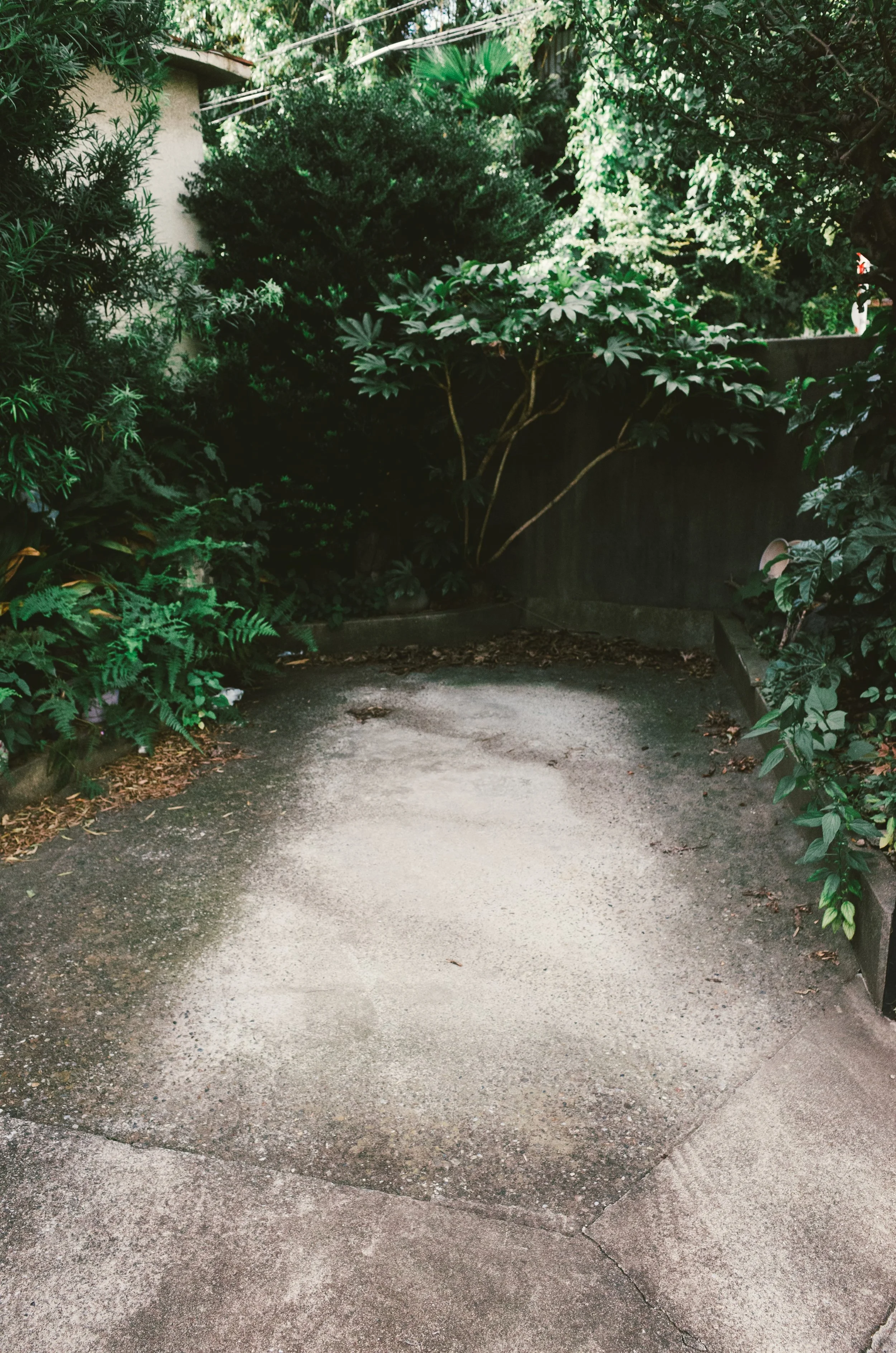 R0145495 (Custom).jpg