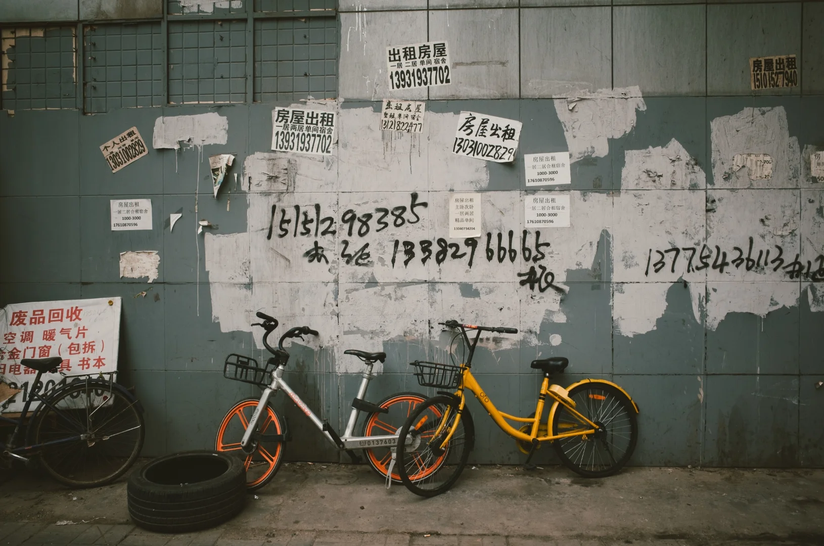 R1002683 (Large).jpg