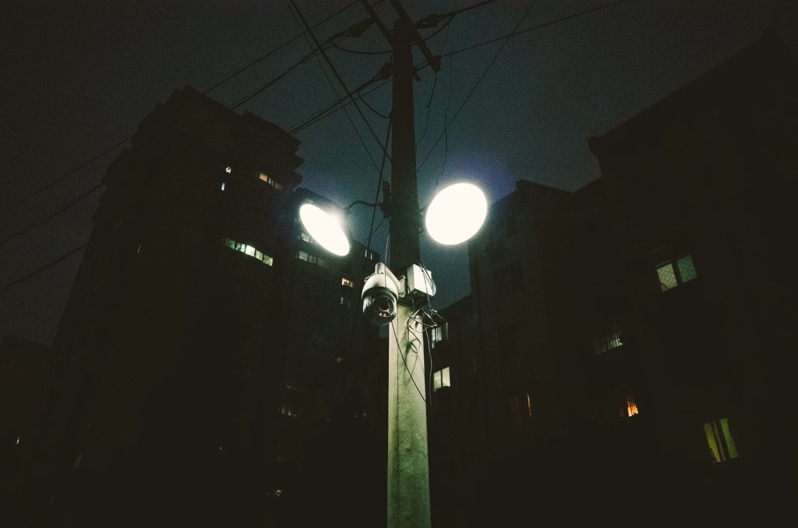 R1003067 (Large).jpg