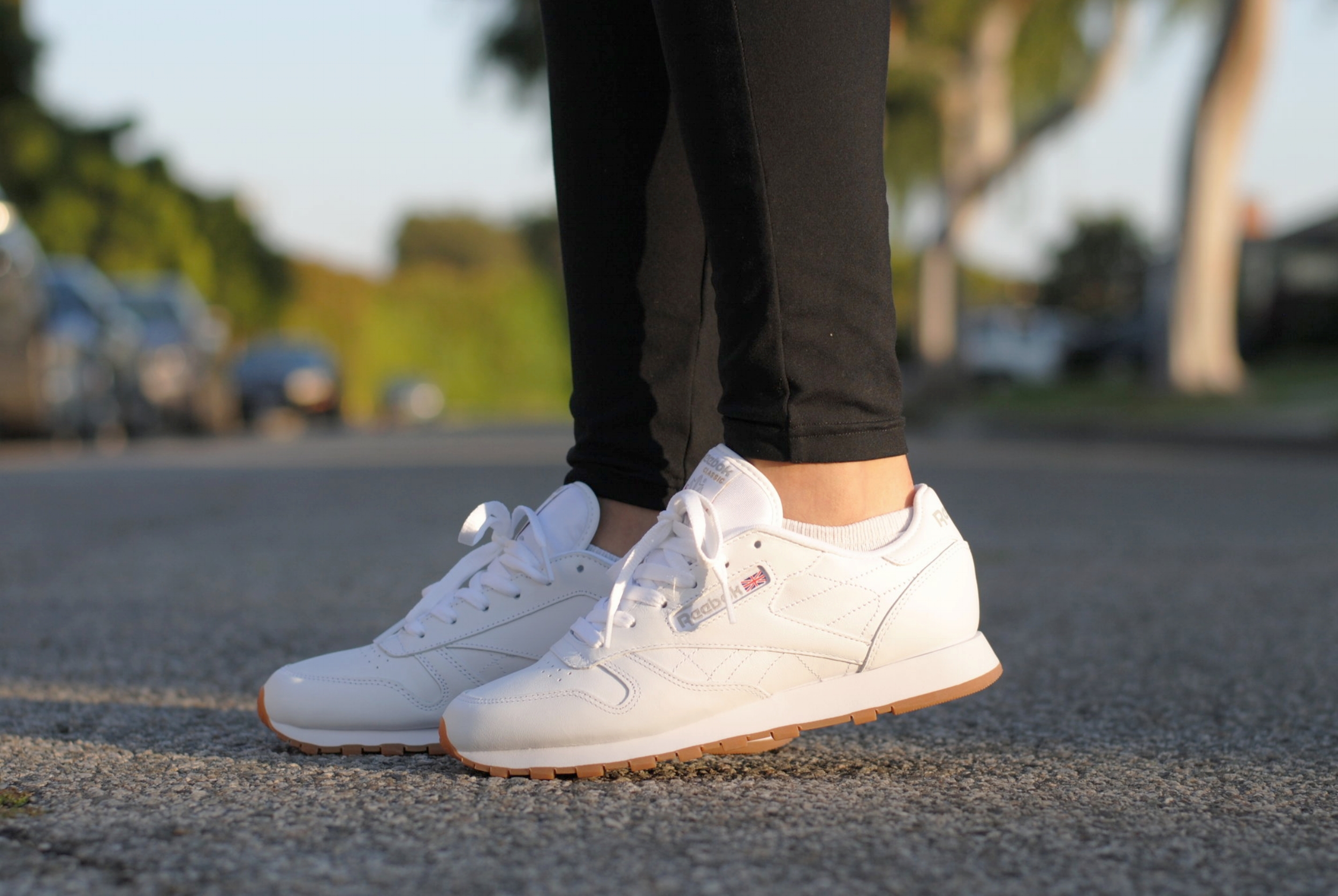 reebok shoes wss