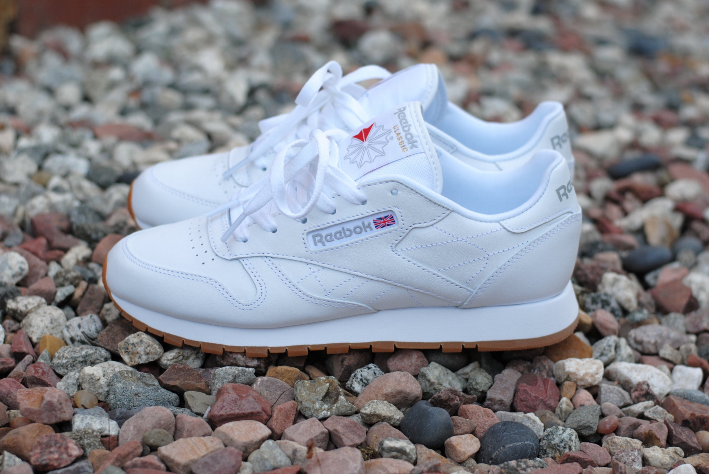 wss reebok classic