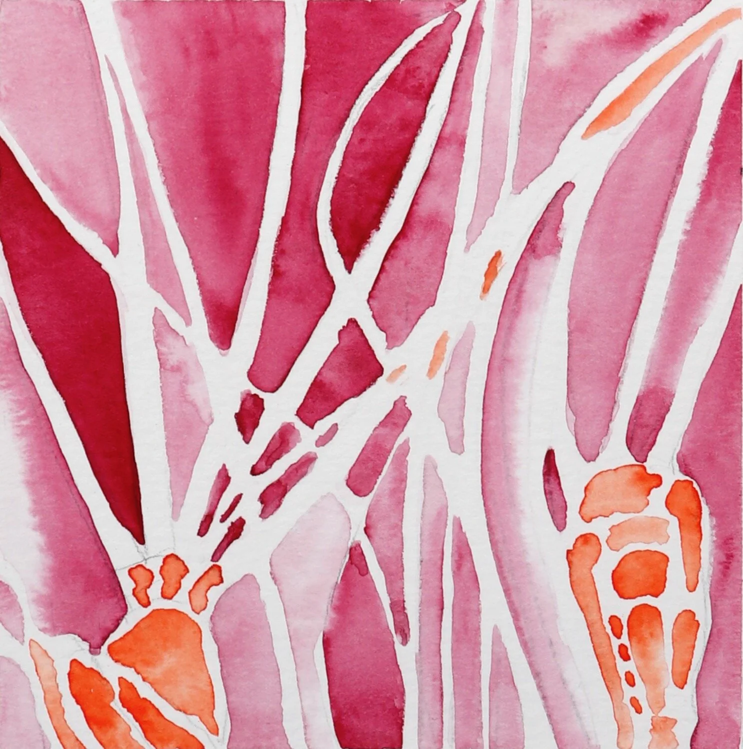 plankton-80 (1).jpeg