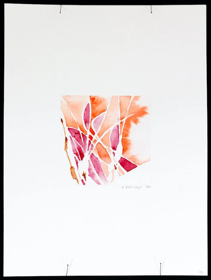 plankton-90 (1).jpeg