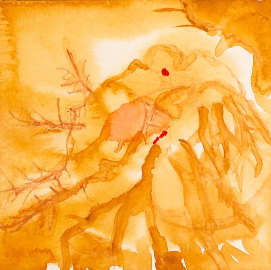 plankton-92 (1).jpeg