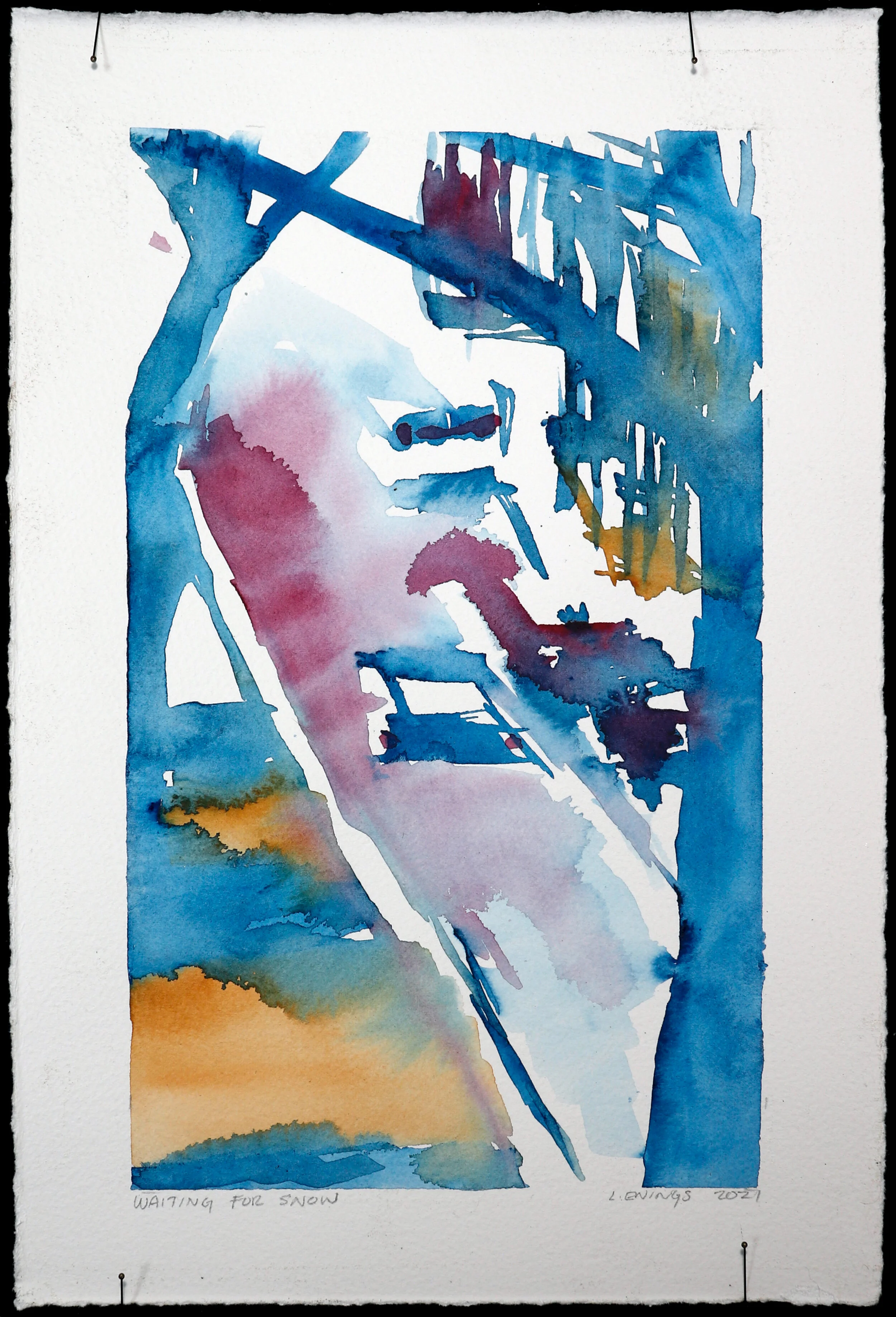 ewings-waiting-for-snow (1).jpeg