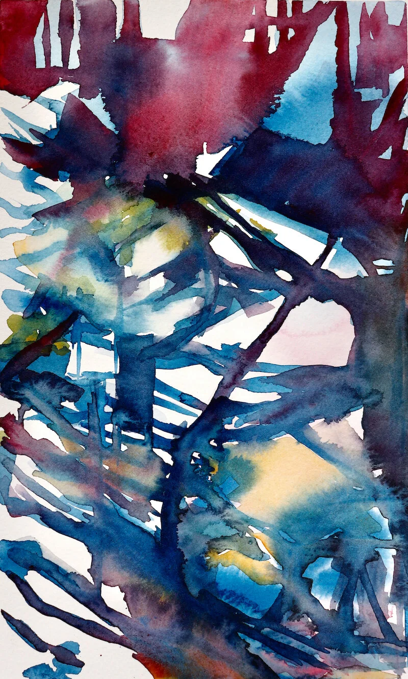 morning-shadows (1).jpeg