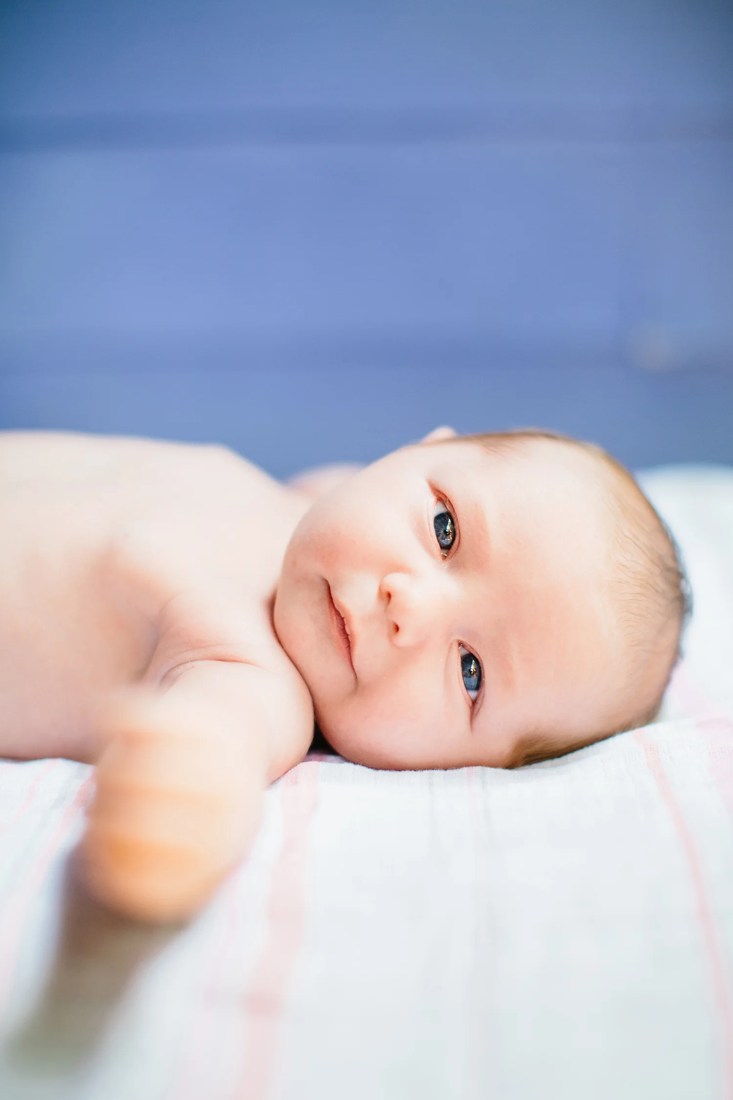 003-logan-potterf-family-lifestyle-session copy.jpg