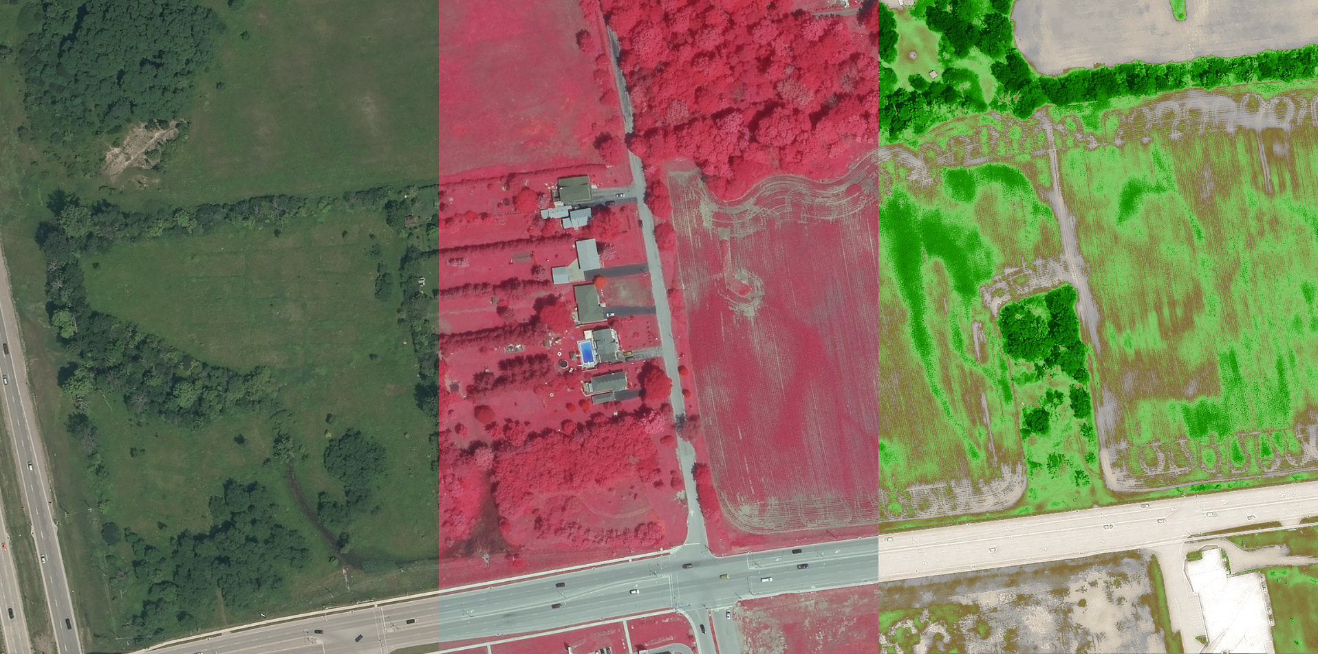 colour_IR_NDVI_sample_London.png