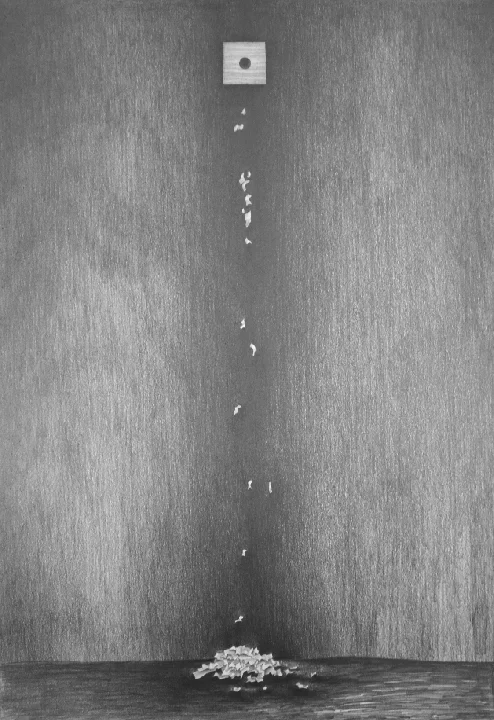 SawDust6_18x26_Graphite.jpg