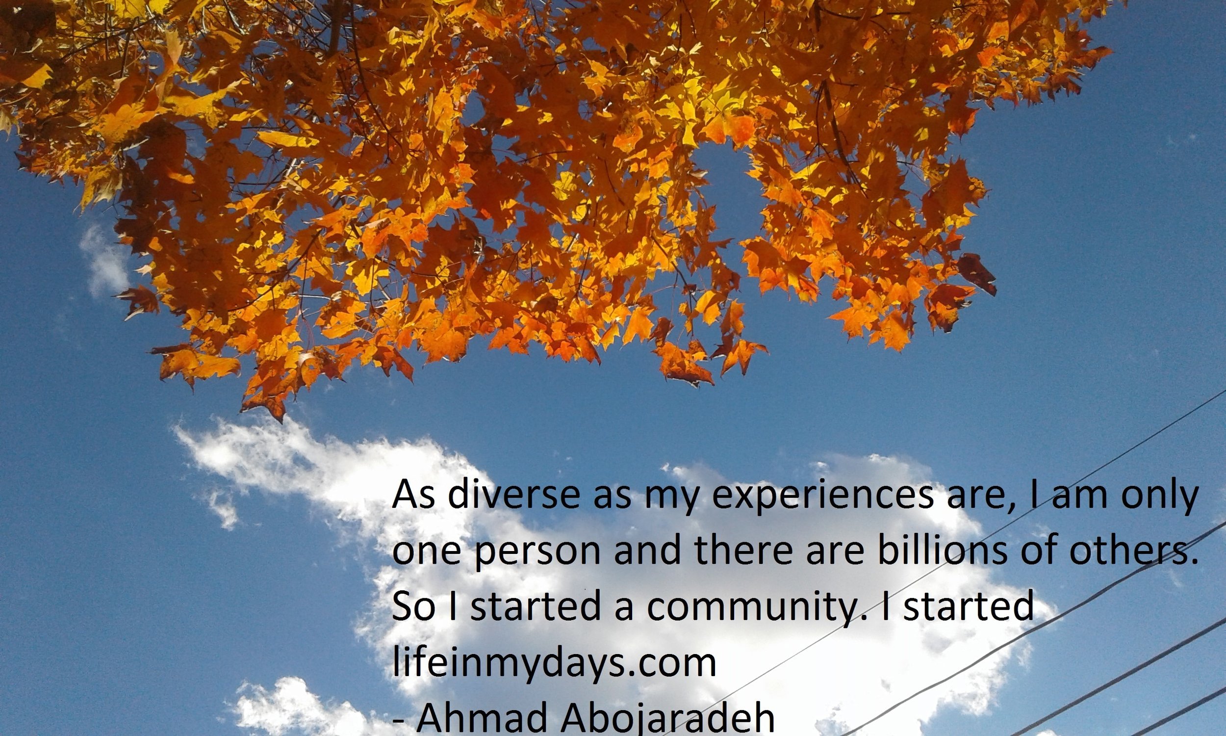 Photo Description: Brilliant orange leaves on a tree across the top of the photo and blue sky with shining cloud across the bottom
