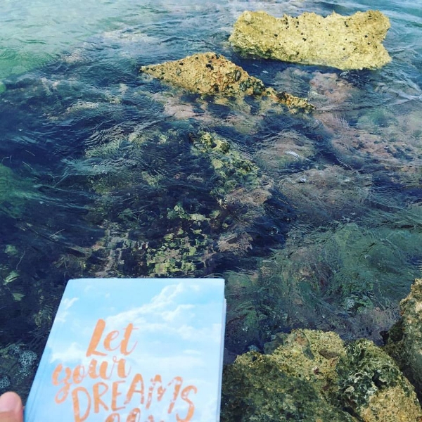 Photo description: A Let Your Dreams Fly notebook floats above very shallow and rocky water.