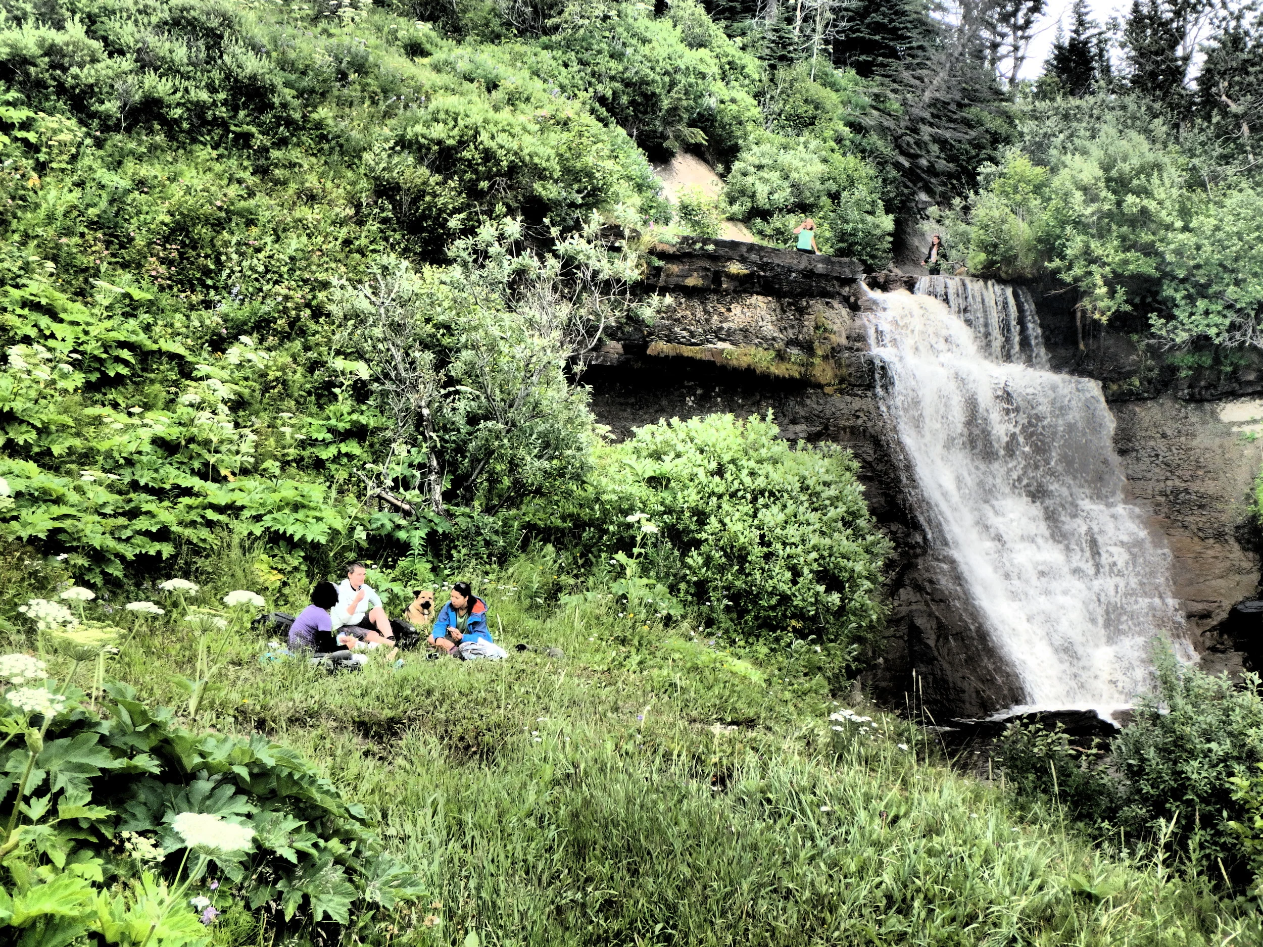 Dinner Cruise - Whiskey Gulch to Happy Valley