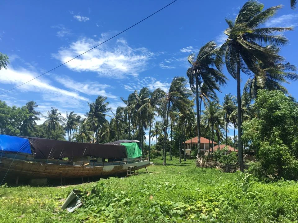 Dojo BBQ, The Gili Islands, And A Turtle