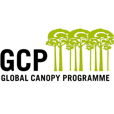 GCP Logo.png