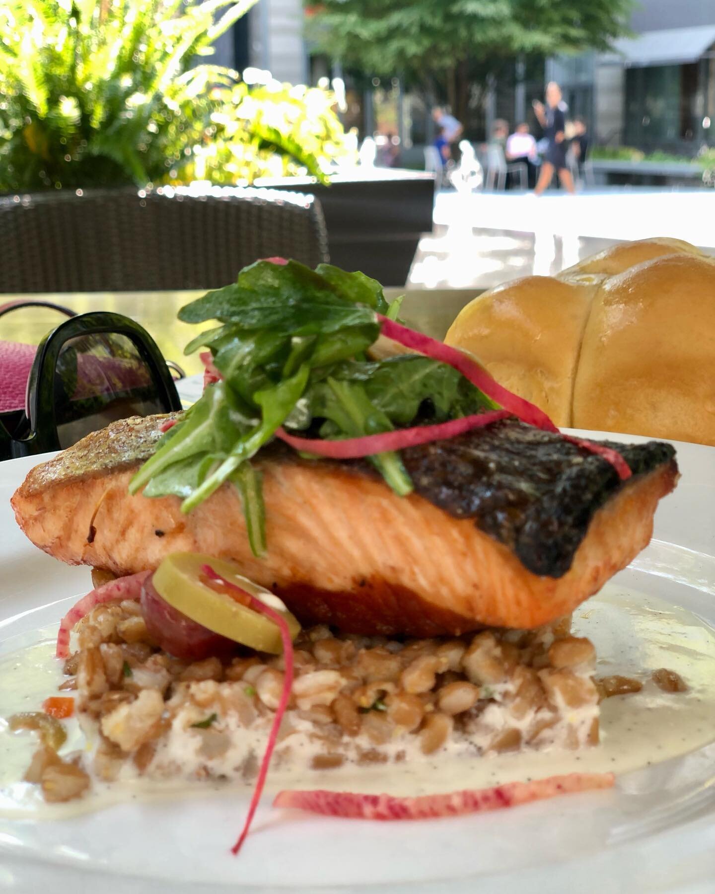 Enjoying a light bite from the #powerlunch section of the menu. The pan roasted salmon and the Del salad were just the boost of energy that I needed on this glorious day in DC!
.
.
.
#passport2cuisine #delfriscos #dc #powerlunch #lunchbreak #eatwell