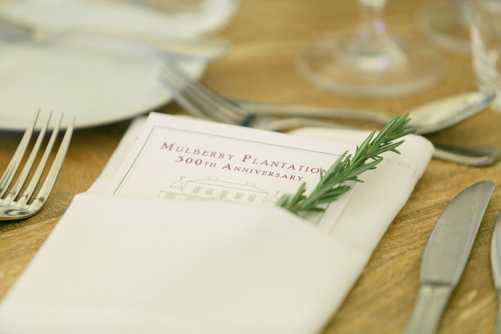 Mulberry Napkin with Rosemary.jpg