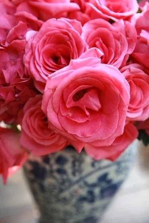 Blue Jars with Pink Roses--Bagwell--Jen Bearden.jpg