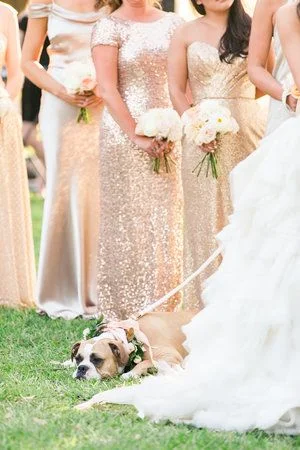 Jen Pup--Jessi Nichols.jpg