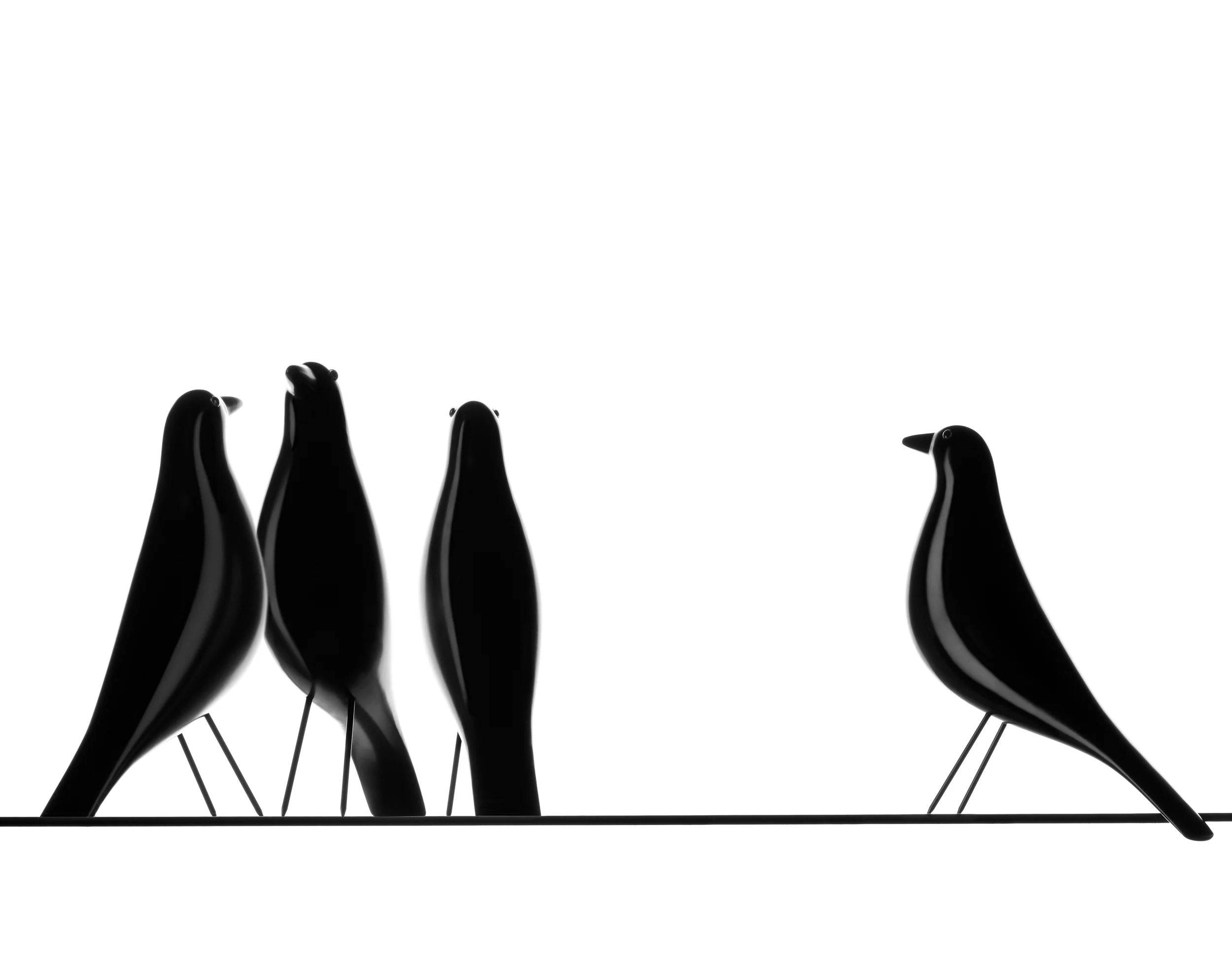 Untitled-1.jpg