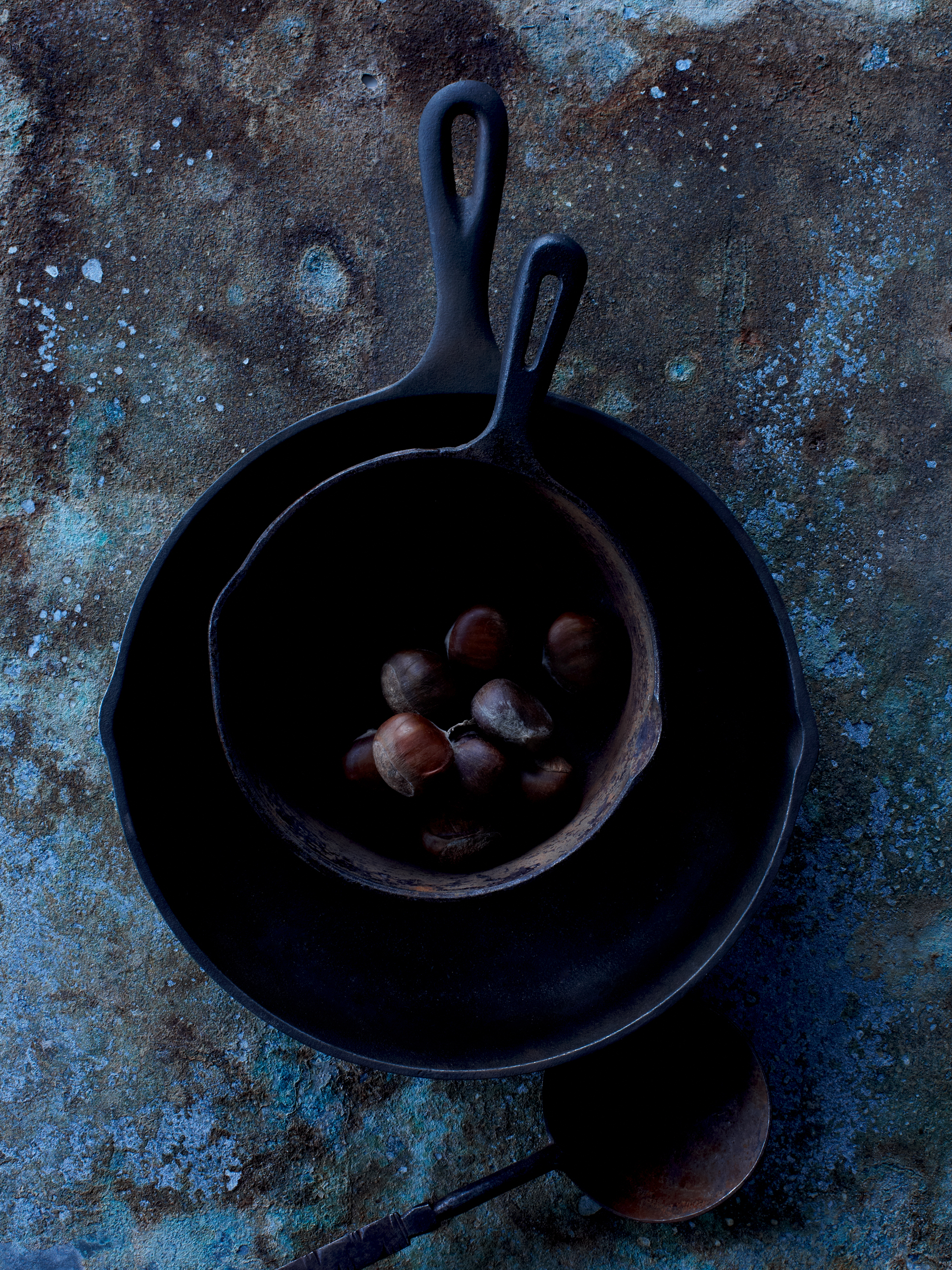 11 01 2208 opt 2 4514.jpg