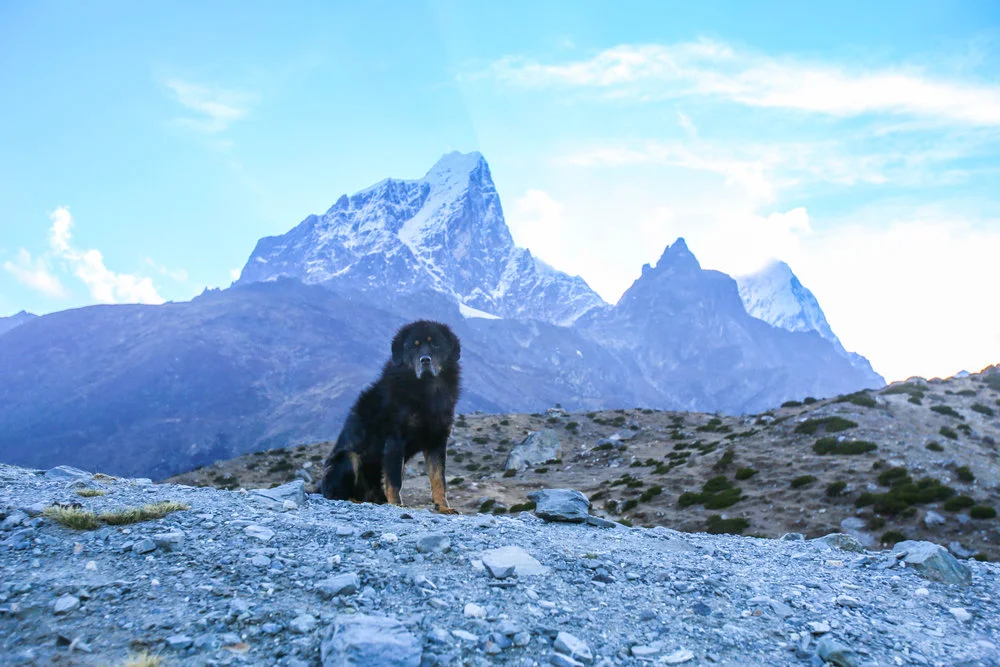 Nepal