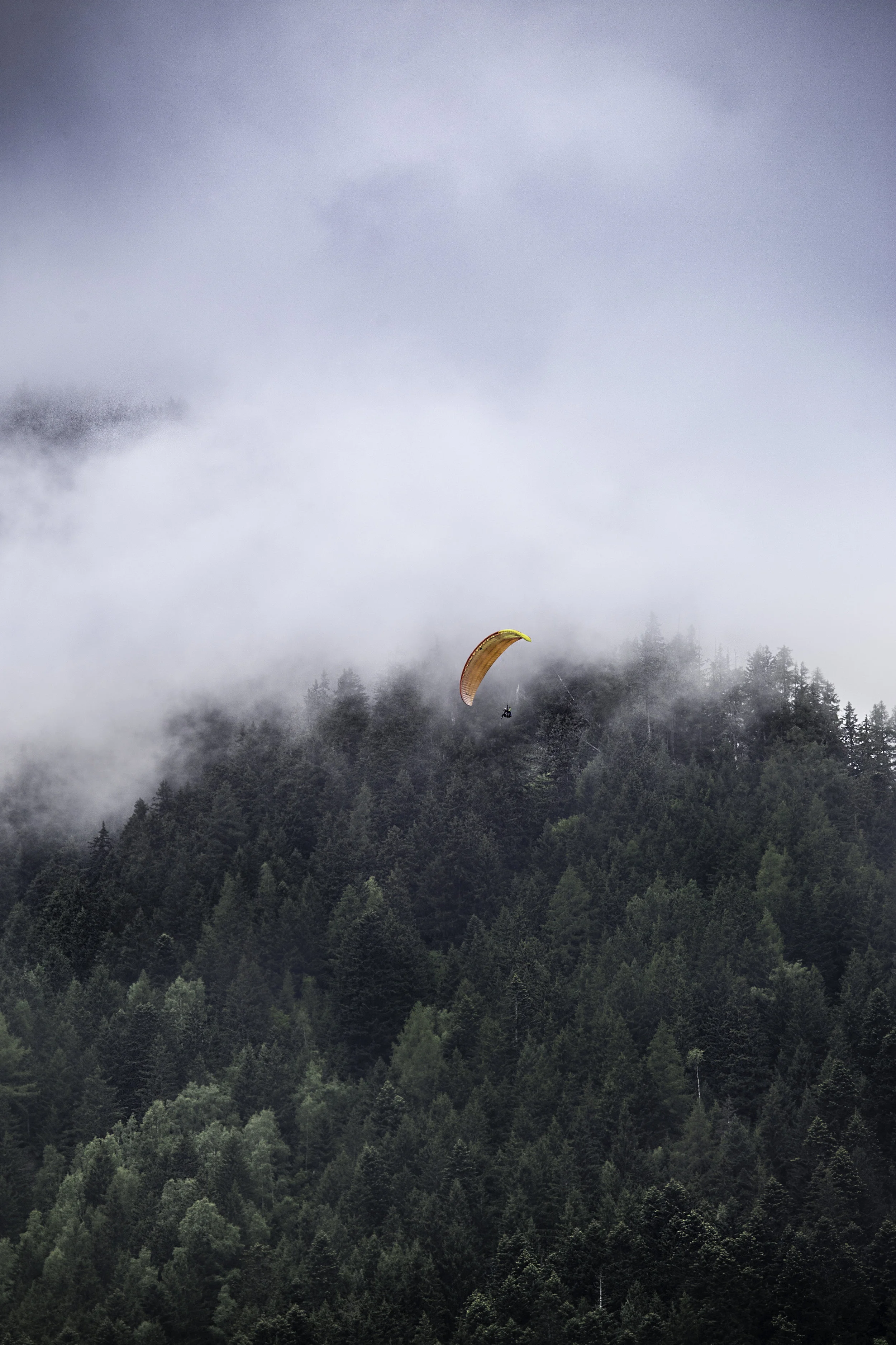 The Alps