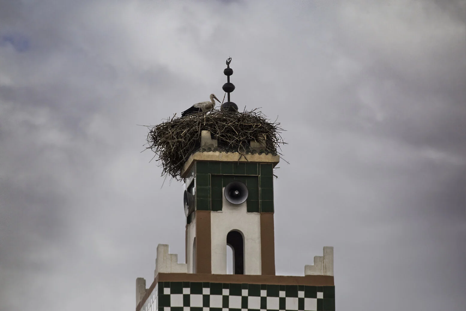 IMG_2544 copy.jpg