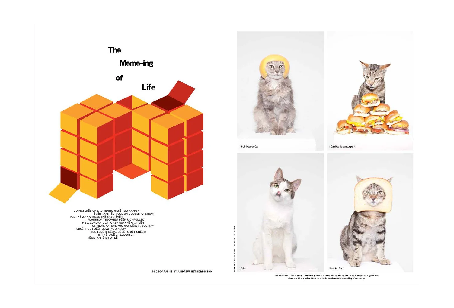 T09x228B WELL MEMES_Page_1.jpg