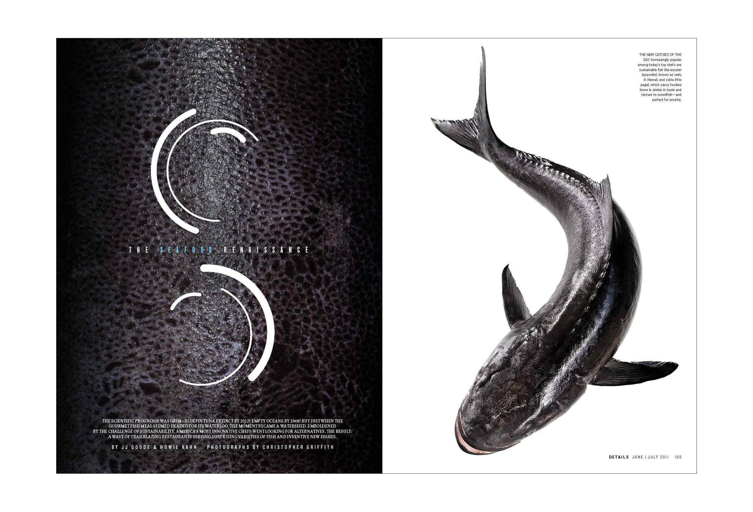 T06x104C FISH_Page_1.jpg