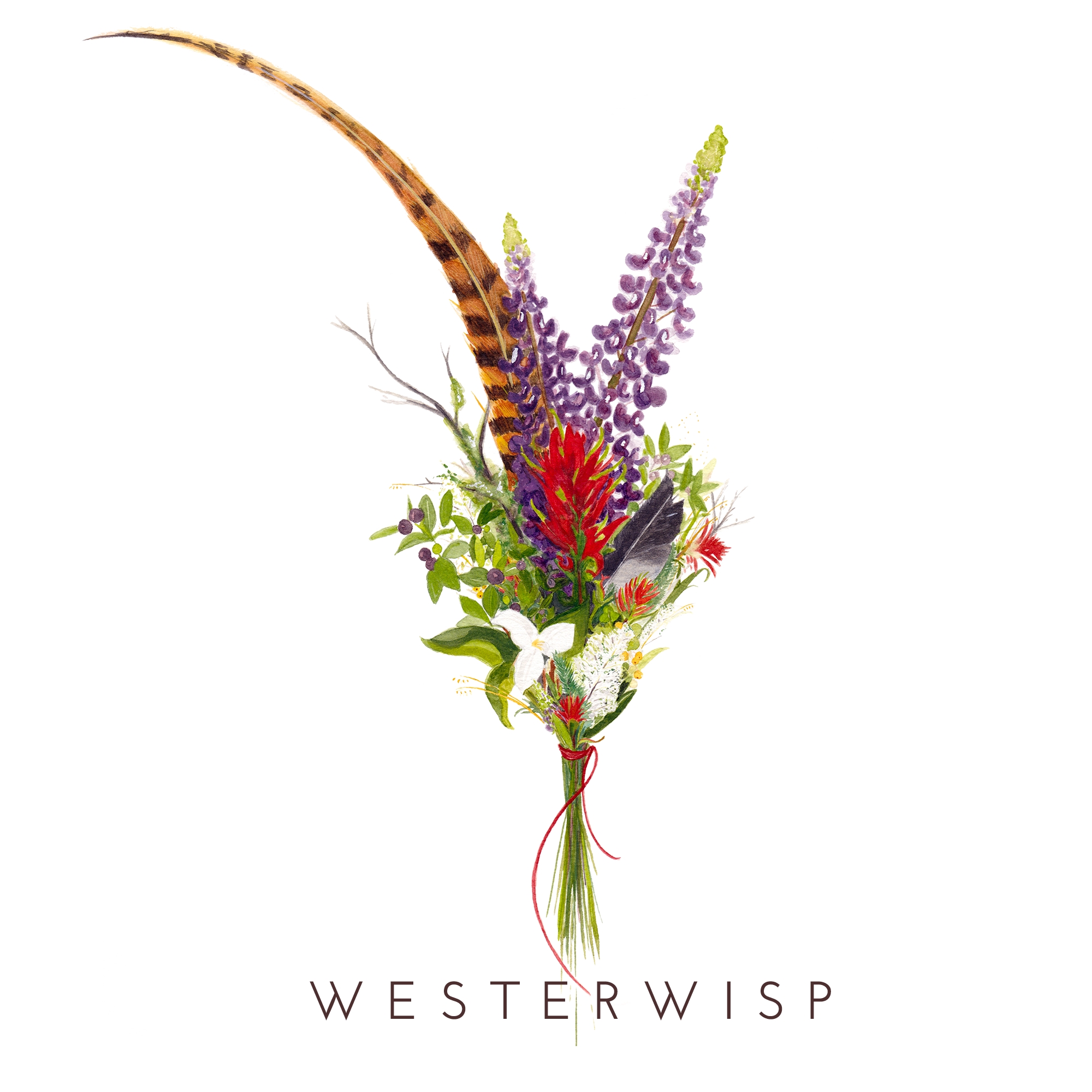 westerwisp_final_whitebkgrd.png