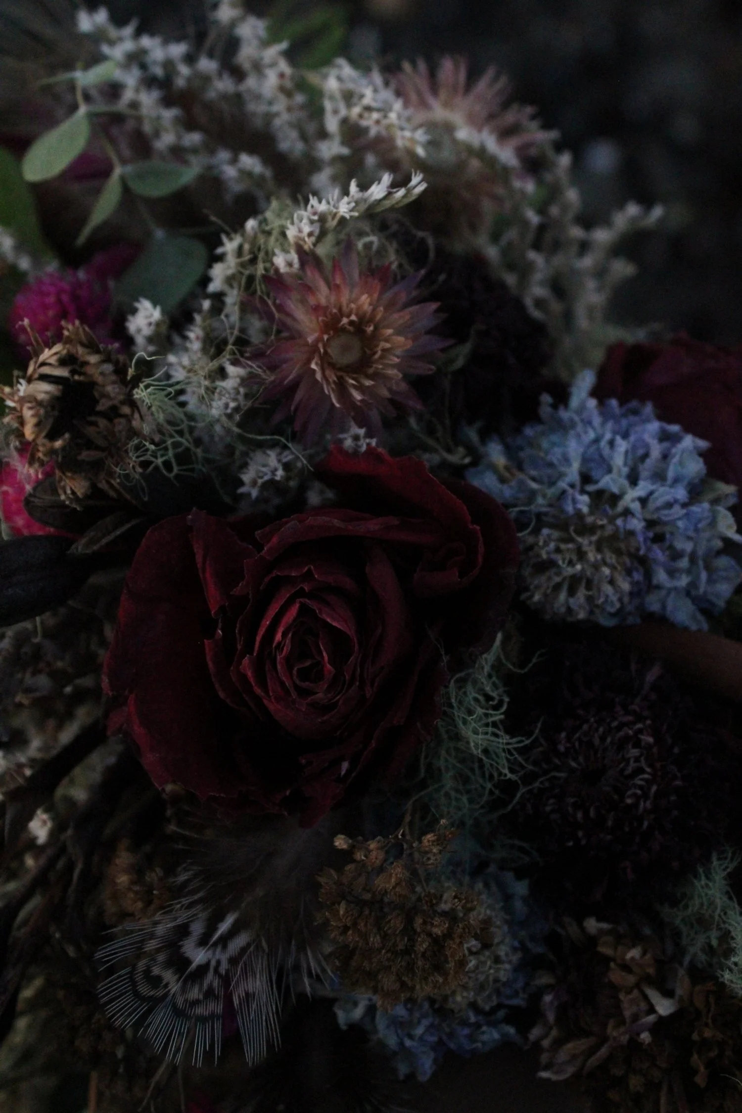 Close Up of Tiffany's Dried Floral Arrangement featuring moody roses and strawflowers
