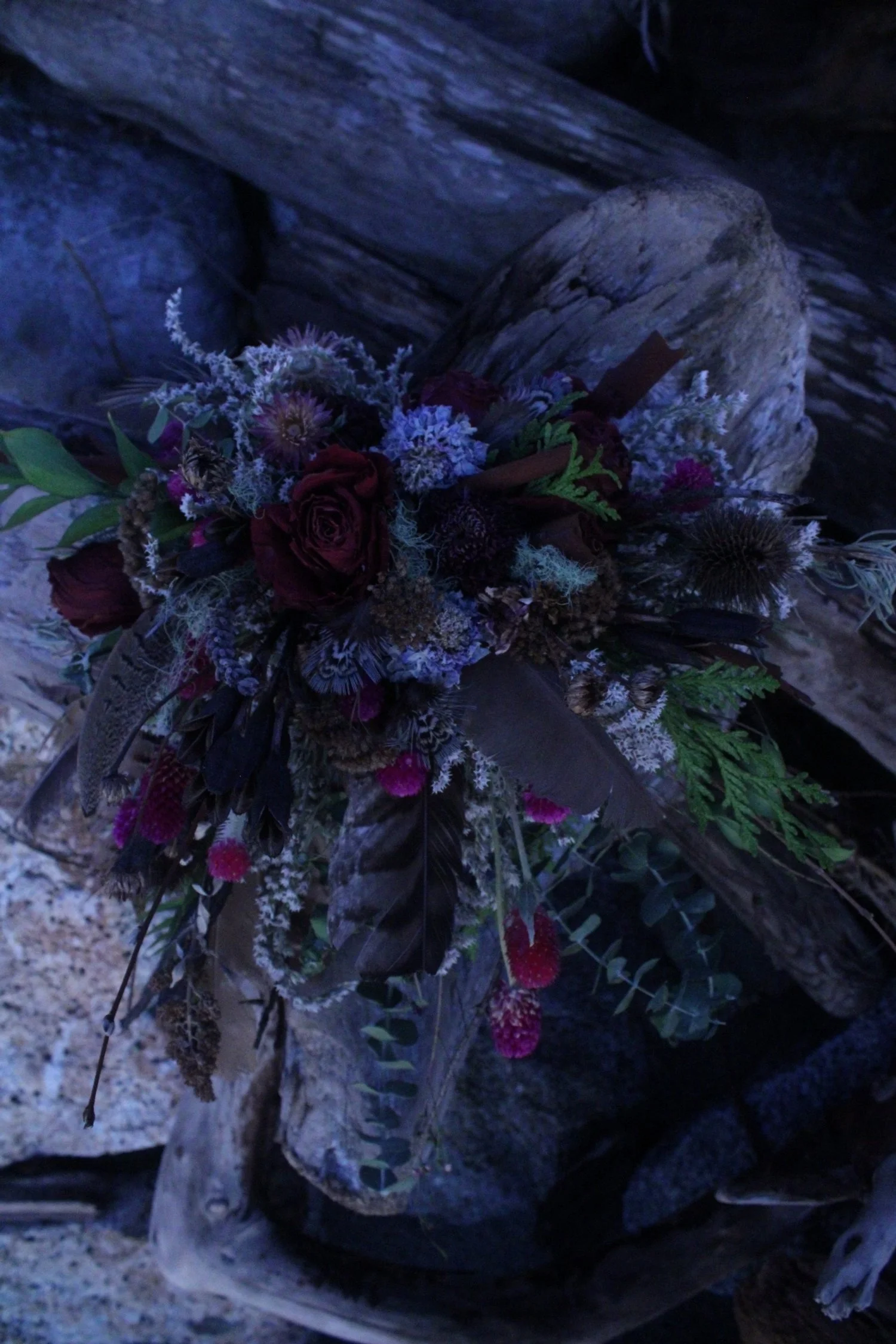 Moody Dried Flower Arrangement by Westerwisp