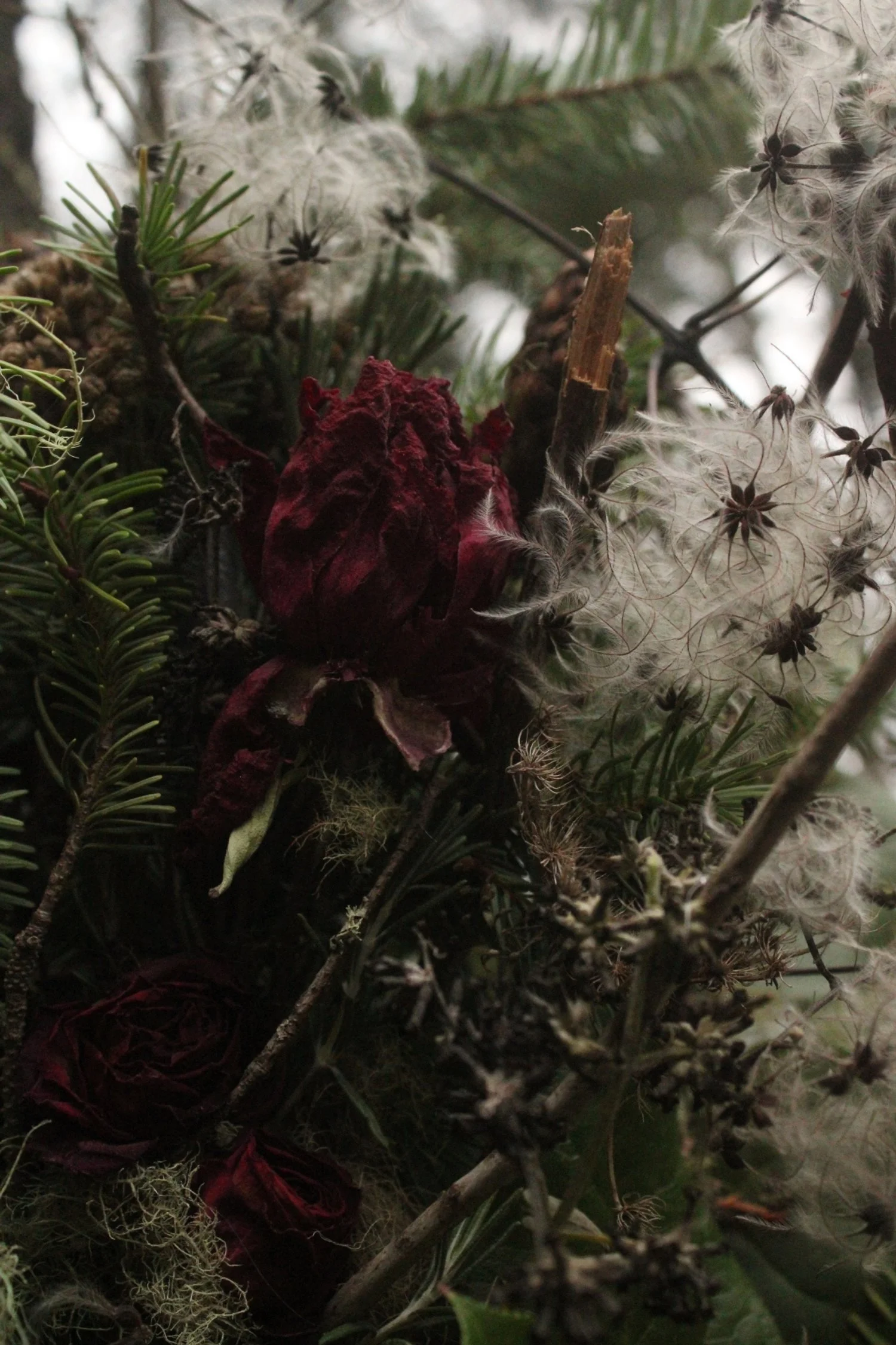 A dried scarlet garden peony woven into a Westerwisp Statement Christmas Wreath