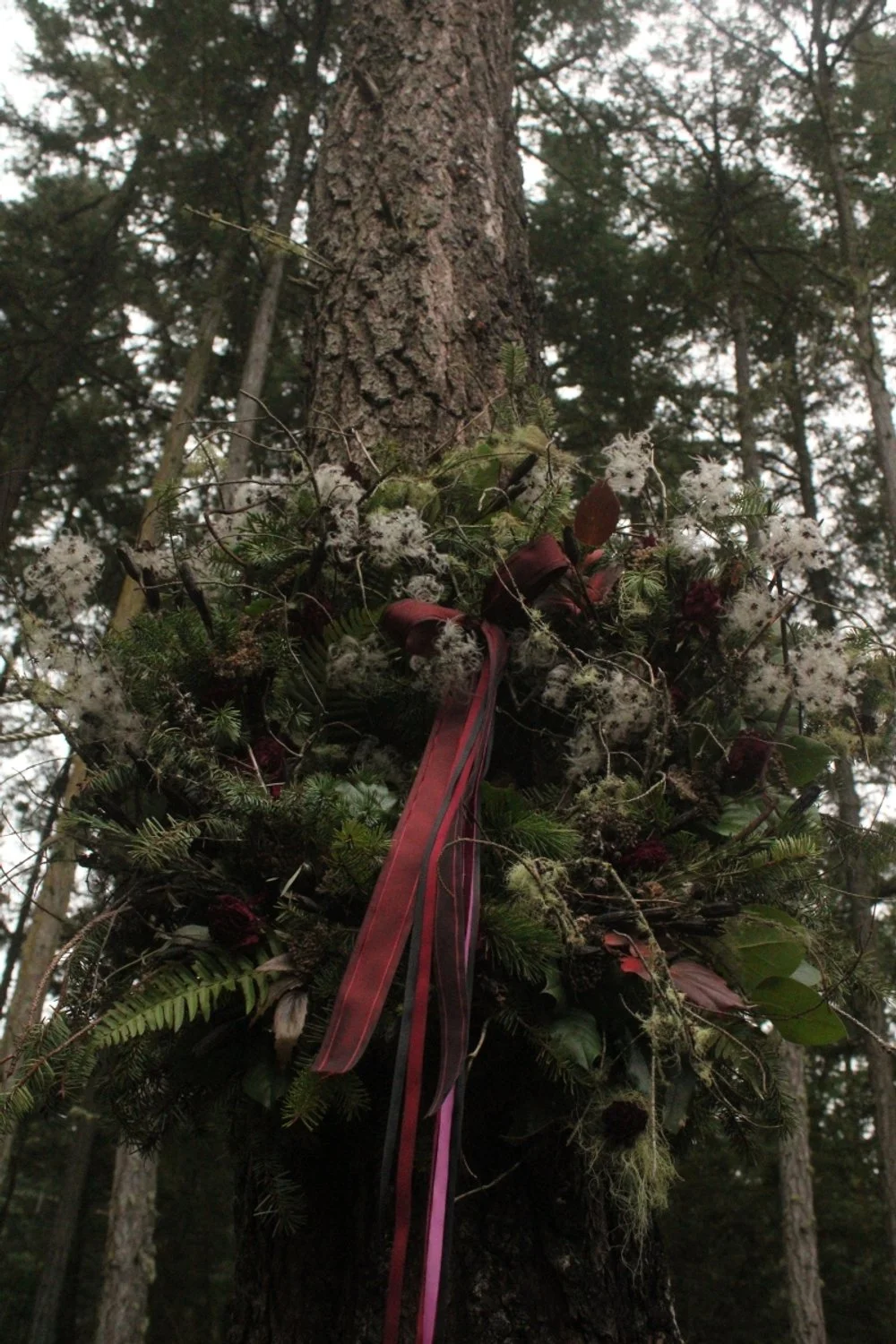 Westerwisp Statement Christmas Wreath featuring evergreen branches and dried florals with delivery within the greater Seattle Pacific Northwest and the San Juan Islands