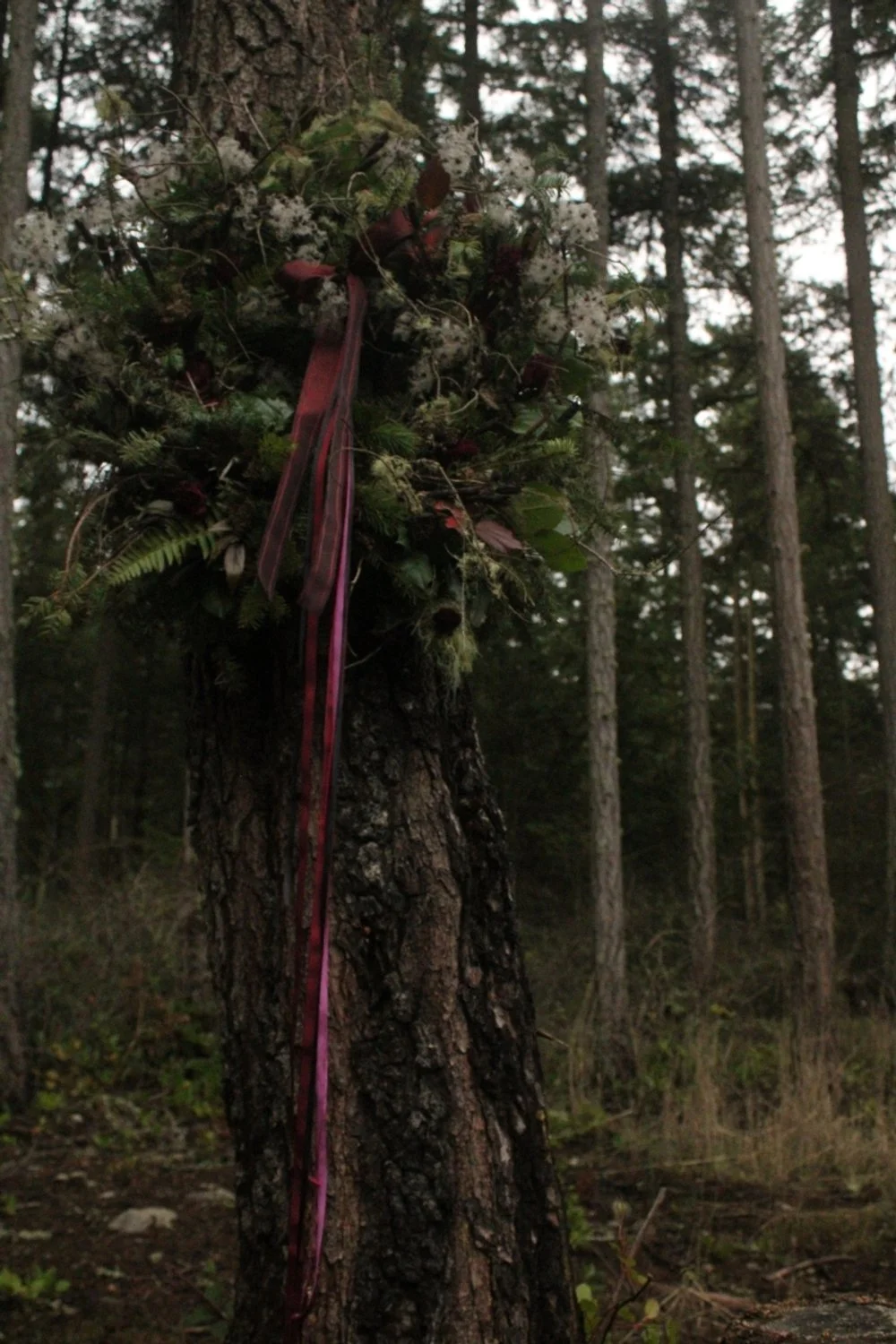 Westerwisp Statement Christmas Wreath featuring evergreen branches and dried florals with delivery within the greater Seattle Pacific Northwest and the San Juan Islands