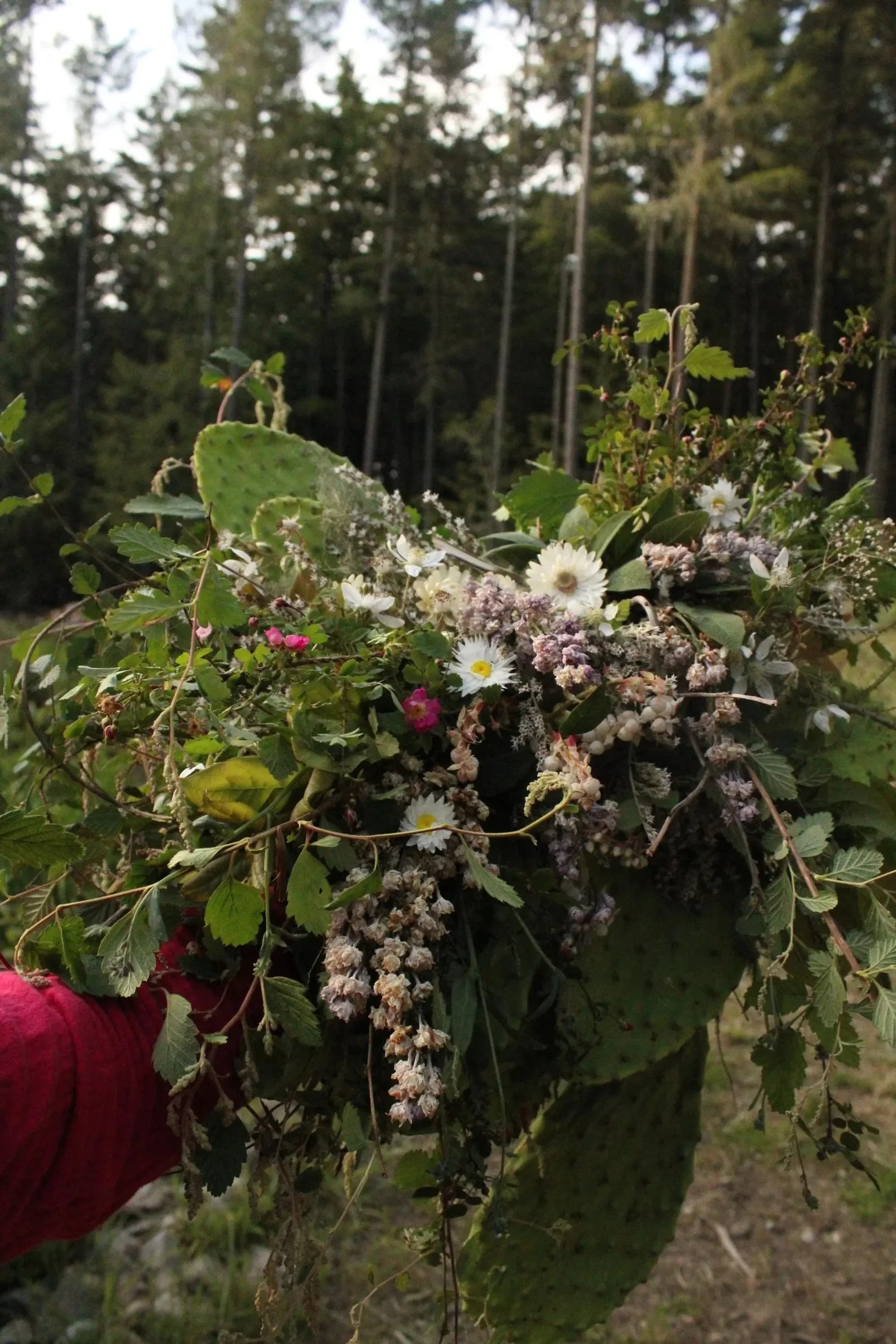 Cactus and Succulent Bouquets