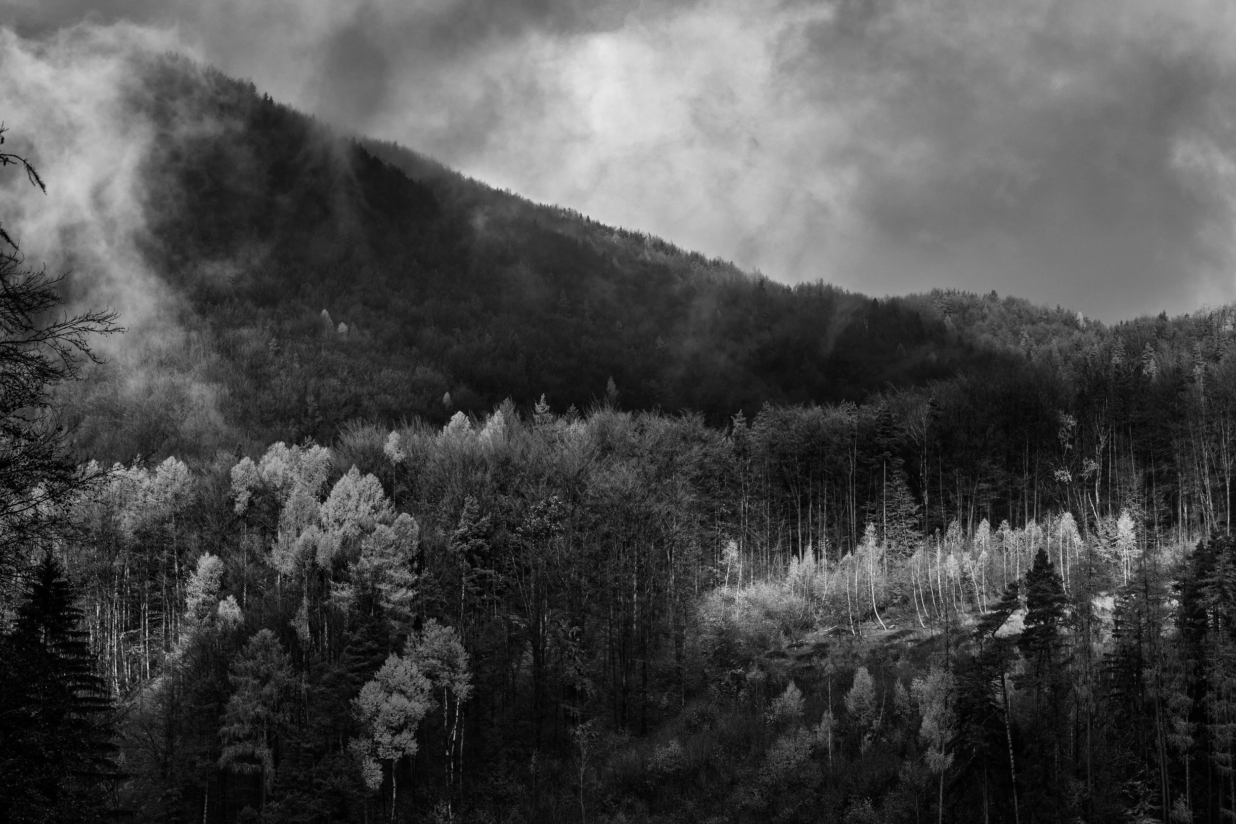 _DSC0197-Edit-min.jpg