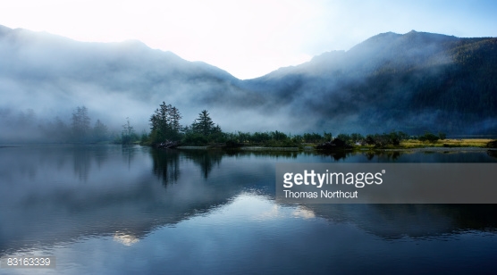 Photo by Thomas Northcut/DigitalVision / Getty Images