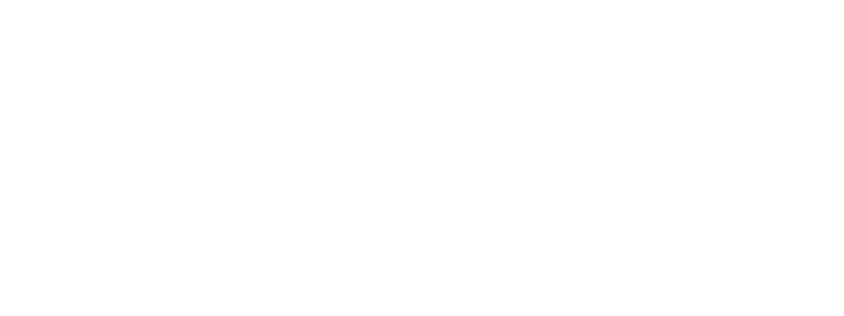 Randall Entertainment Services