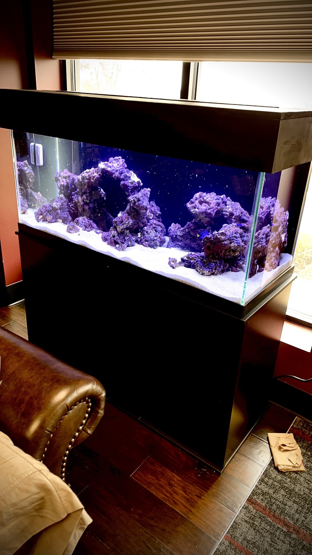 Saltwater Aquariums — Aggieland Aquatics