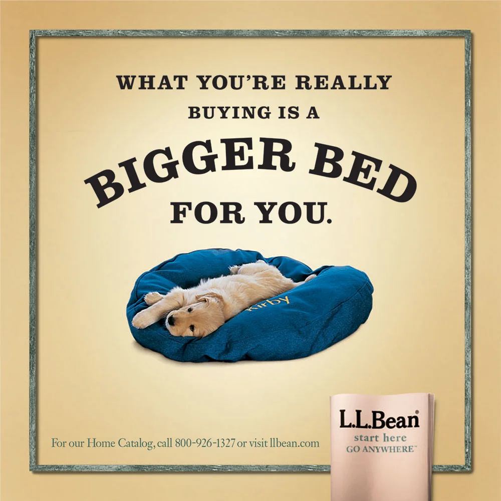 JanPettit_LLBean_DogBed.jpg