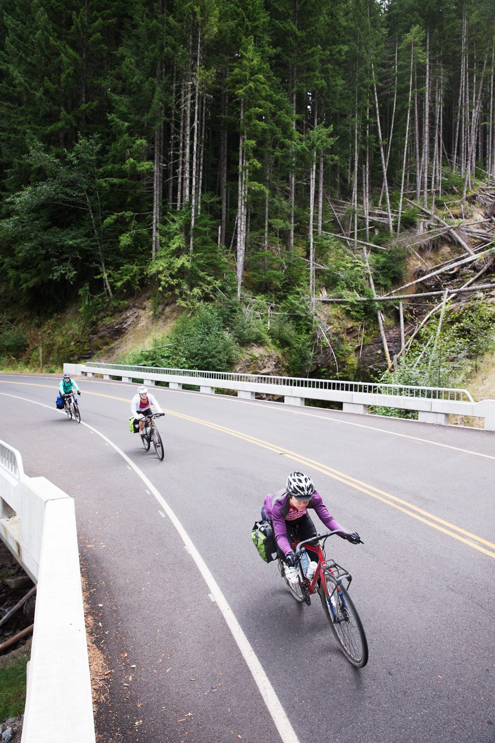  Three road cyclists. Mount St. Helens, WA 