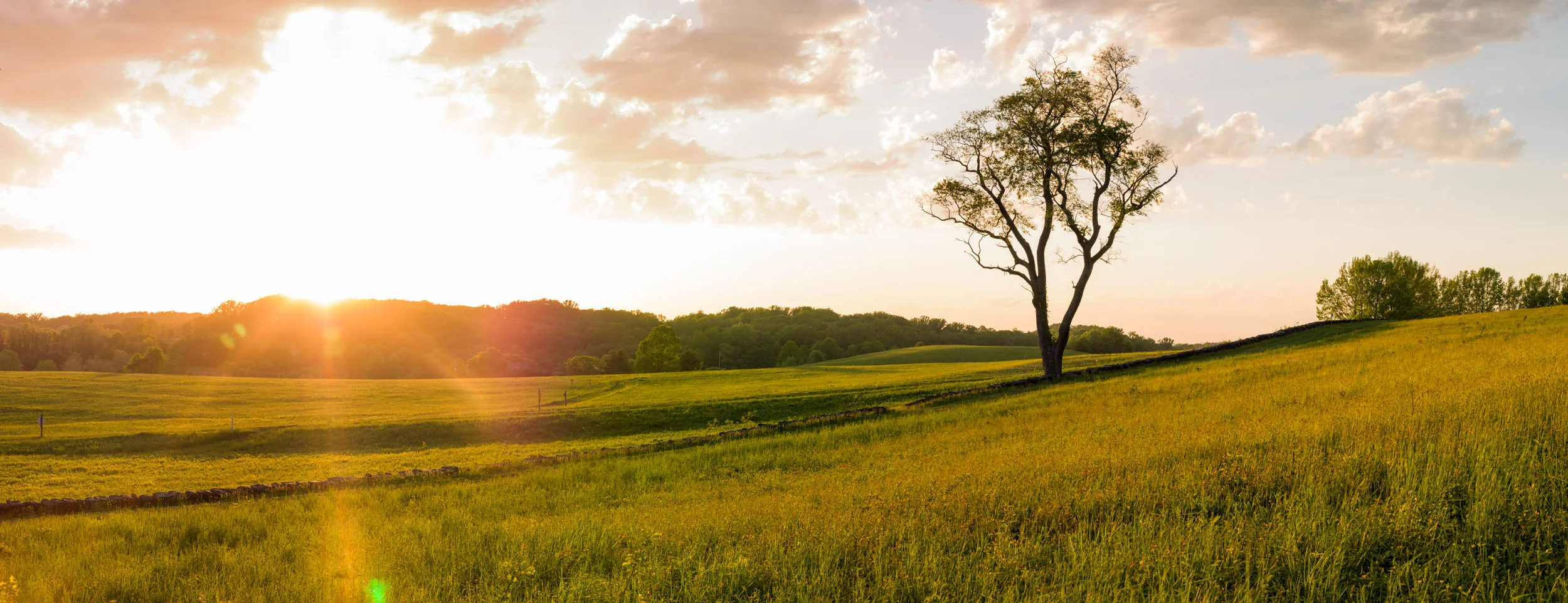 Sunrise over Brandywine Creek State Park, Delaware