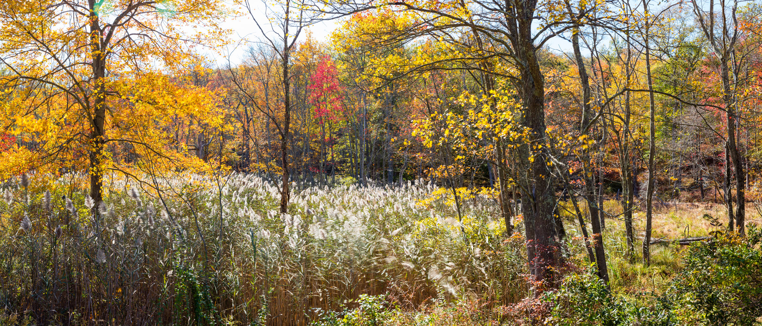 39P_Bear Mountain-016-Pano.jpg