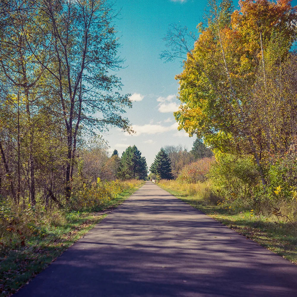 Landscape photo 1