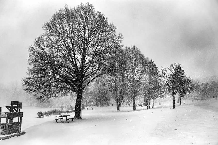 Lake Nokomis in winter